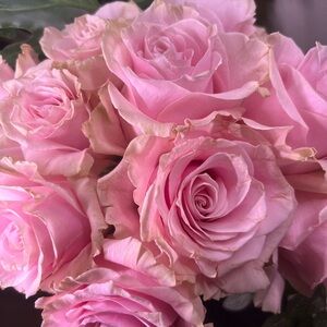 Meet your Posher, Polly